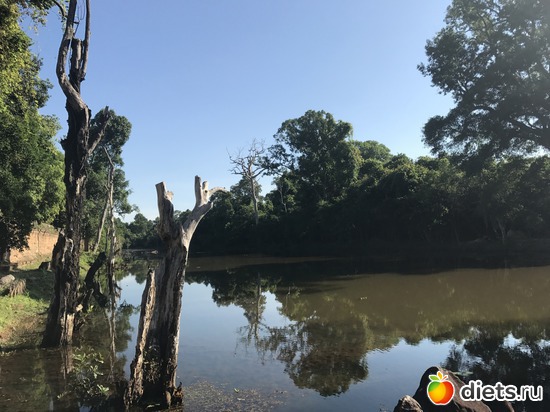 207 ����: ������ 2017. ��������