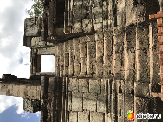 504 ����: ������ 2017. ��������