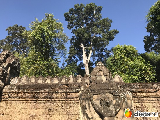 209 ����: ������ 2017. ��������