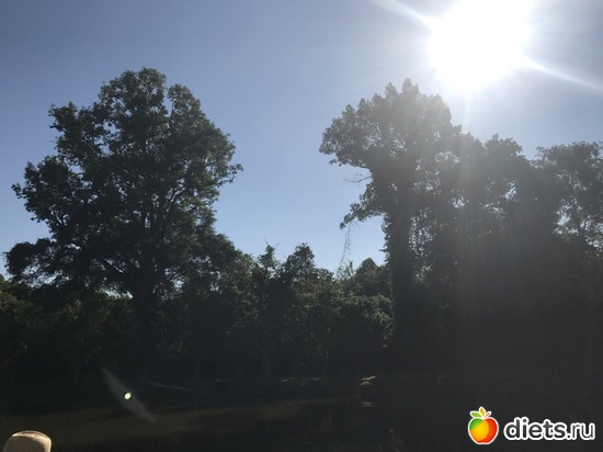 212 ����: ������ 2017. ��������