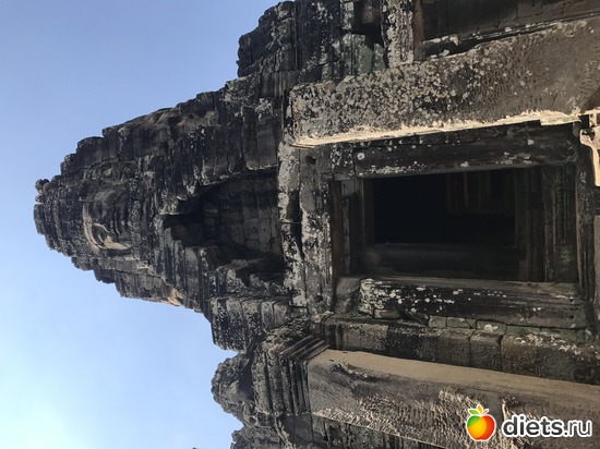 509 ����: ������ 2017. ��������