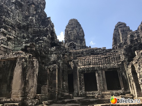 510 ����: ������ 2017. ��������