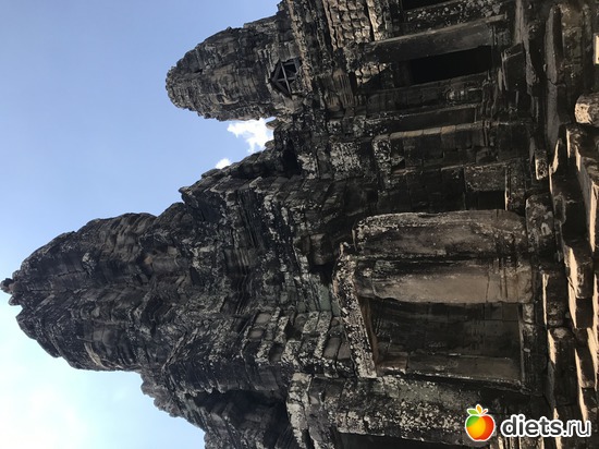 511 ����: ������ 2017. ��������