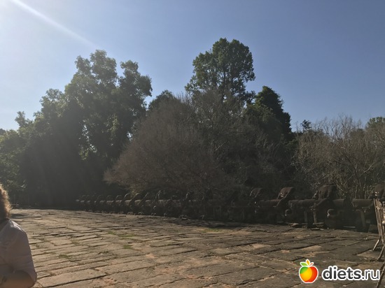 213 ����: ������ 2017. ��������