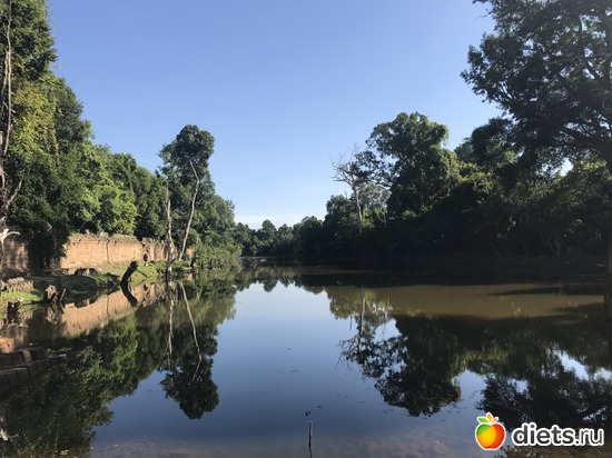 214 ����: ������ 2017. ��������