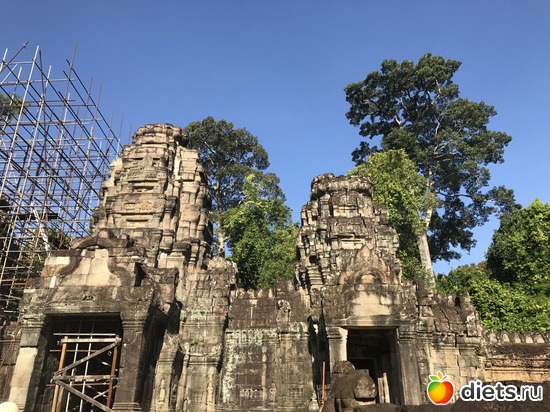 215 ����: ������ 2017. ��������