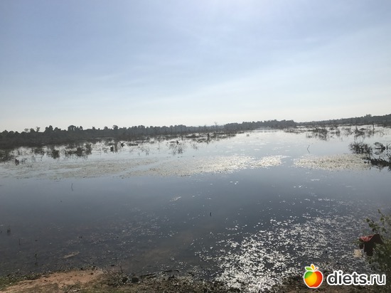 216 ����: ������ 2017. ��������