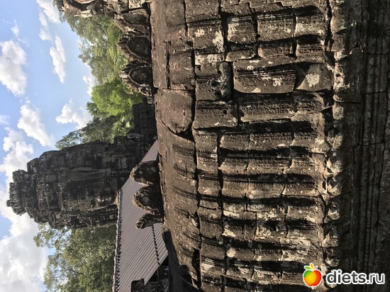 514 ����: ������ 2017. ��������