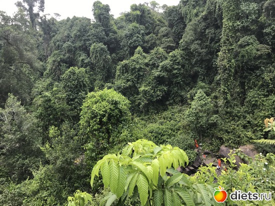 611 ����: ������ 2017. ��������