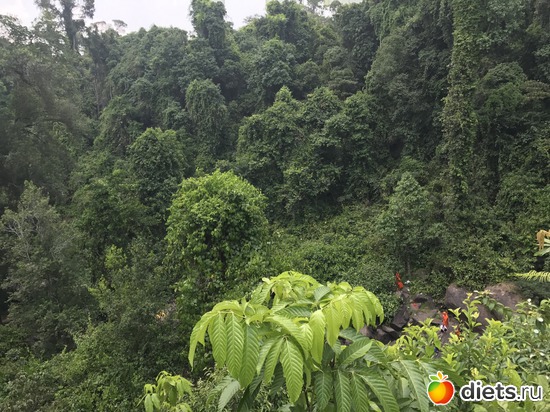 612 ����: ������ 2017. ��������