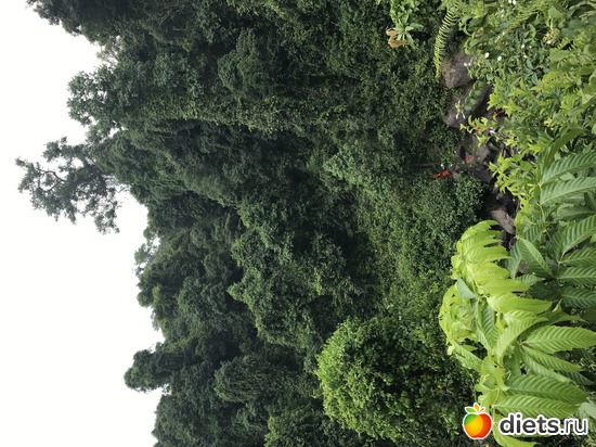 613 ����: ������ 2017. ��������