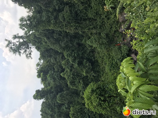 614 ����: ������ 2017. ��������