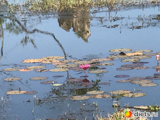 217 ����: ������ 2017. ��������