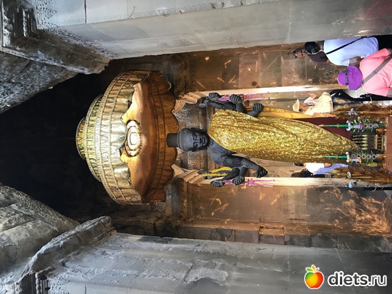 371 ����: ������ 2017. ��������