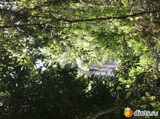 615 ����: ������ 2017. ��������