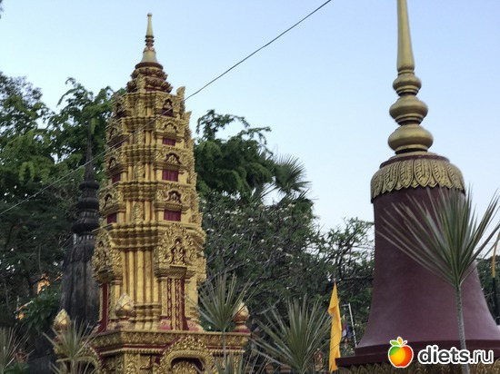 23 ����: ������ 2017. ��������