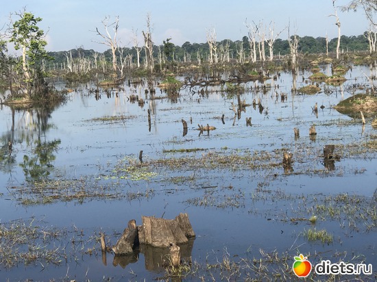 218 ����: ������ 2017. ��������