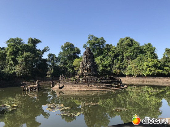 220 ����: ������ 2017. ��������