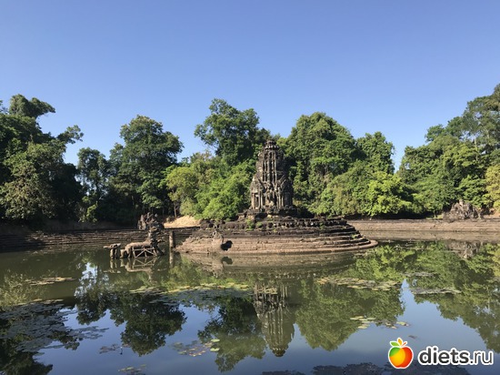 221 ����: ������ 2017. ��������