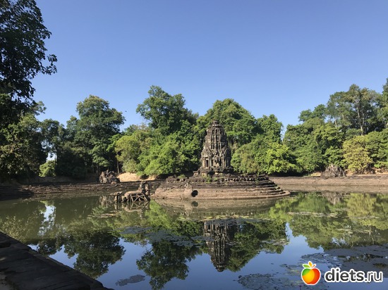 222 ����: ������ 2017. ��������