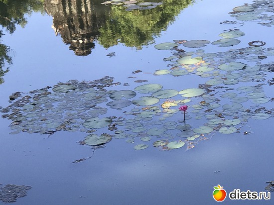 224 ����: ������ 2017. ��������