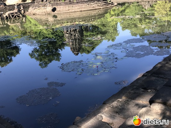 225 ����: ������ 2017. ��������