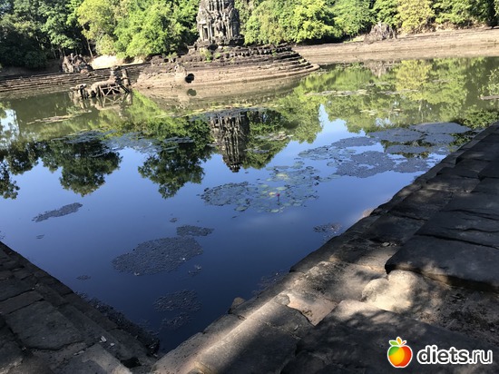 226 ����: ������ 2017. ��������