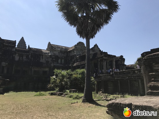 378 ����: ������ 2017. ��������