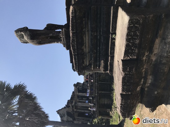 379 ����: ������ 2017. ��������