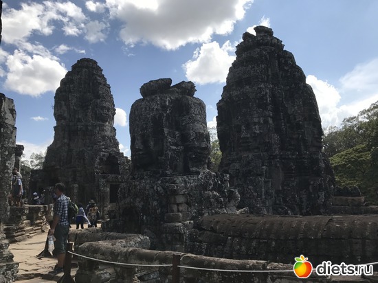 522 ����: ������ 2017. ��������