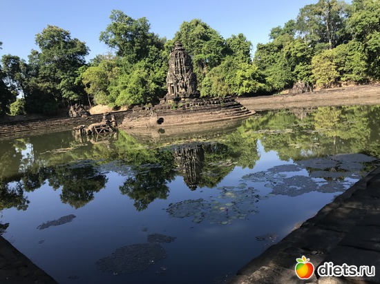 227 ����: ������ 2017. ��������