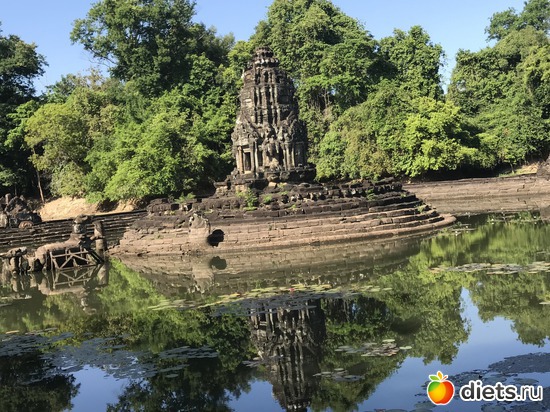 228 ����: ������ 2017. ��������