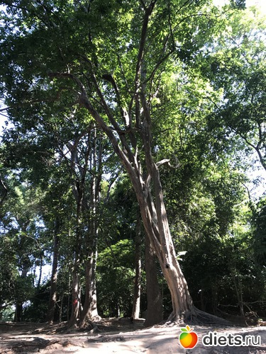 229 ����: ������ 2017. ��������