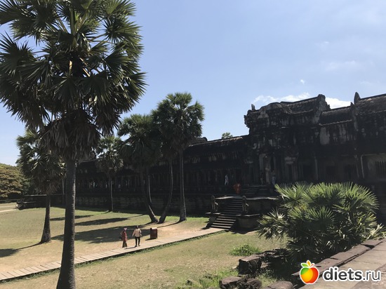 380 ����: ������ 2017. ��������