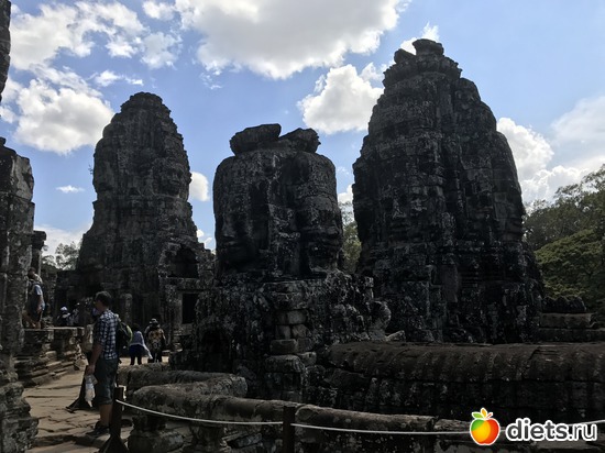 523 ����: ������ 2017. ��������