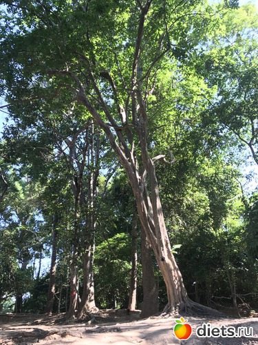 230 ����: ������ 2017. ��������