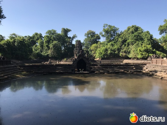 231 ����: ������ 2017. ��������