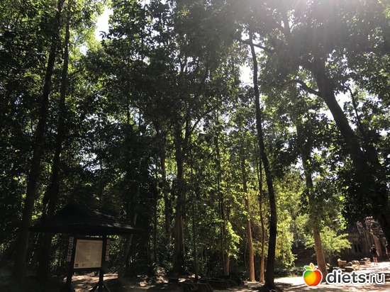 232 ����: ������ 2017. ��������