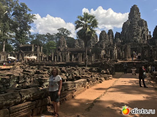 528 ����: ������ 2017. ��������