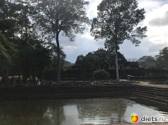 529 ����: ������ 2017. ��������