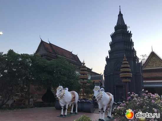 37 ����: ������ 2017. ��������