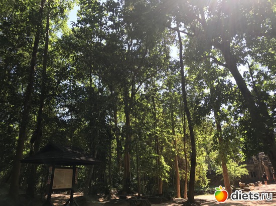 233 ����: ������ 2017. ��������