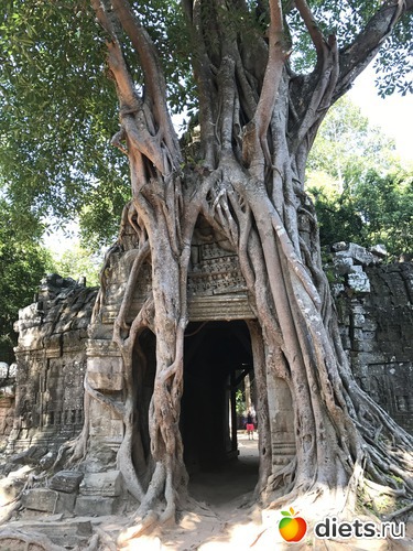 235 ����: ������ 2017. ��������