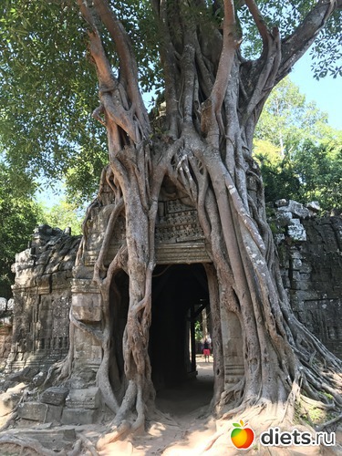 236 ����: ������ 2017. ��������