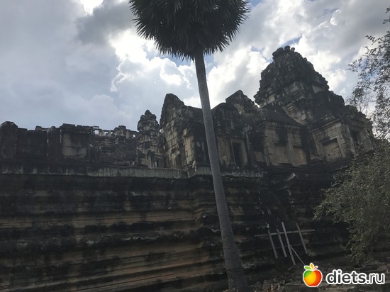 532 ����: ������ 2017. ��������