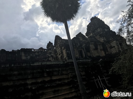 533 ����: ������ 2017. ��������