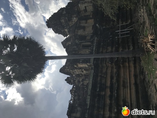 534 ����: ������ 2017. ��������