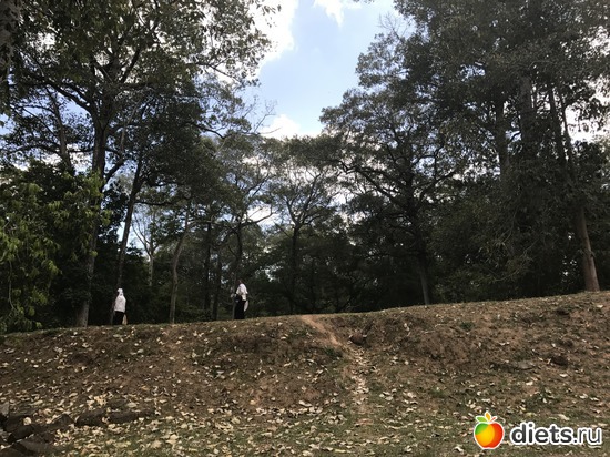 535 ����: ������ 2017. ��������