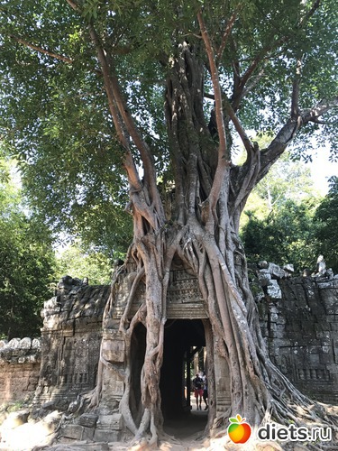 237 ����: ������ 2017. ��������