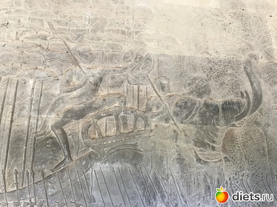 395 ����: ������ 2017. ��������